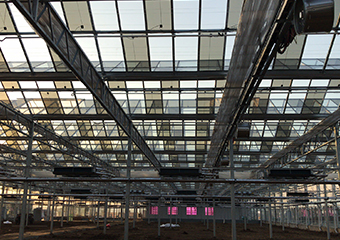 南（nán）京羲（xī）和農（nóng）業大棚