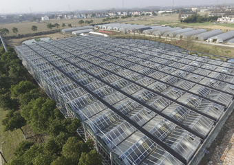 蘇州光伏農業（yè）大棚