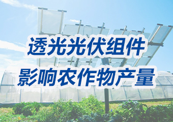 市場潛力巨（jù）大！實證（zhèng）研究：透光光（guāng）伏組件對農作物產量的影響