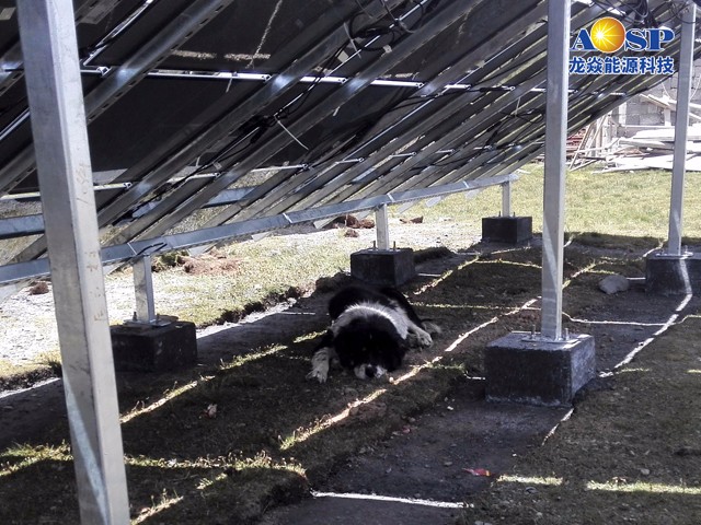 149308805476287974Pz.jpg 2014072405.jpg