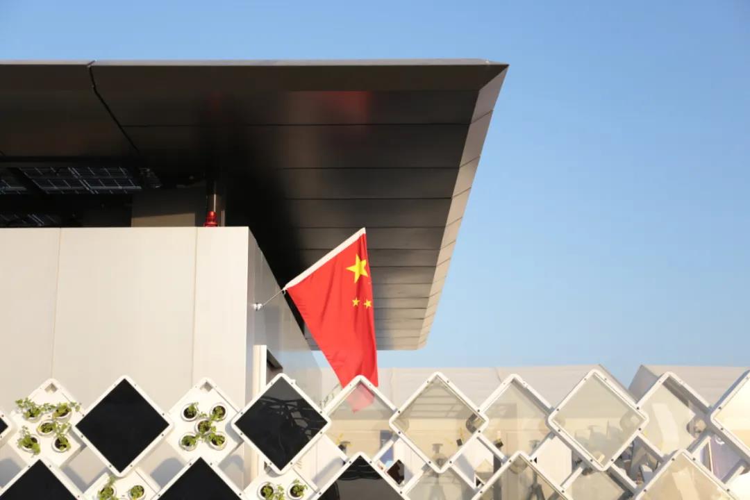 1638776325532760cD9k.jpg 05.jpg