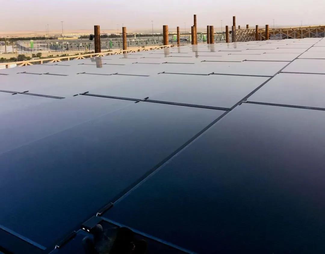 16387764184428609Bgr.jpg 09.jpg