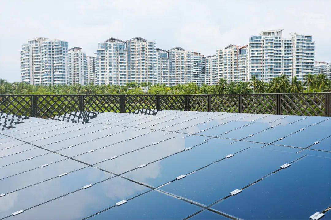 1664499926882695a0PK.jpg 03.jpg