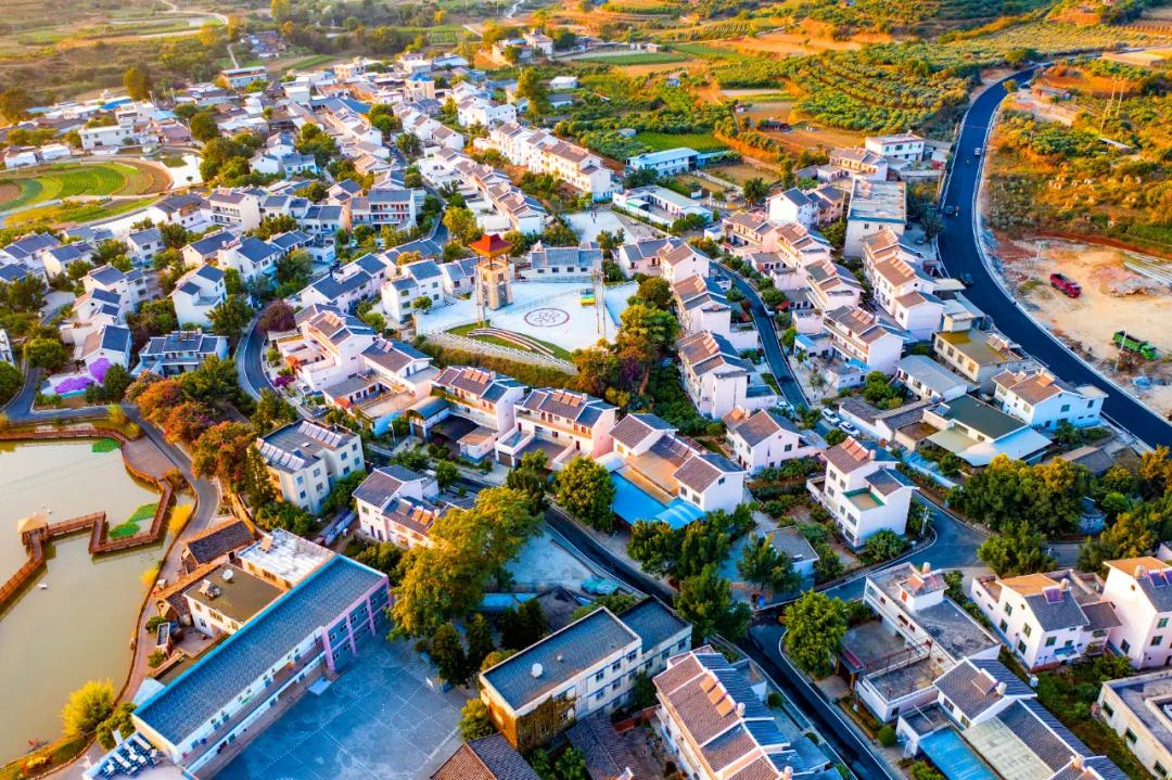 1665393607157502F5Zi.png 01.png