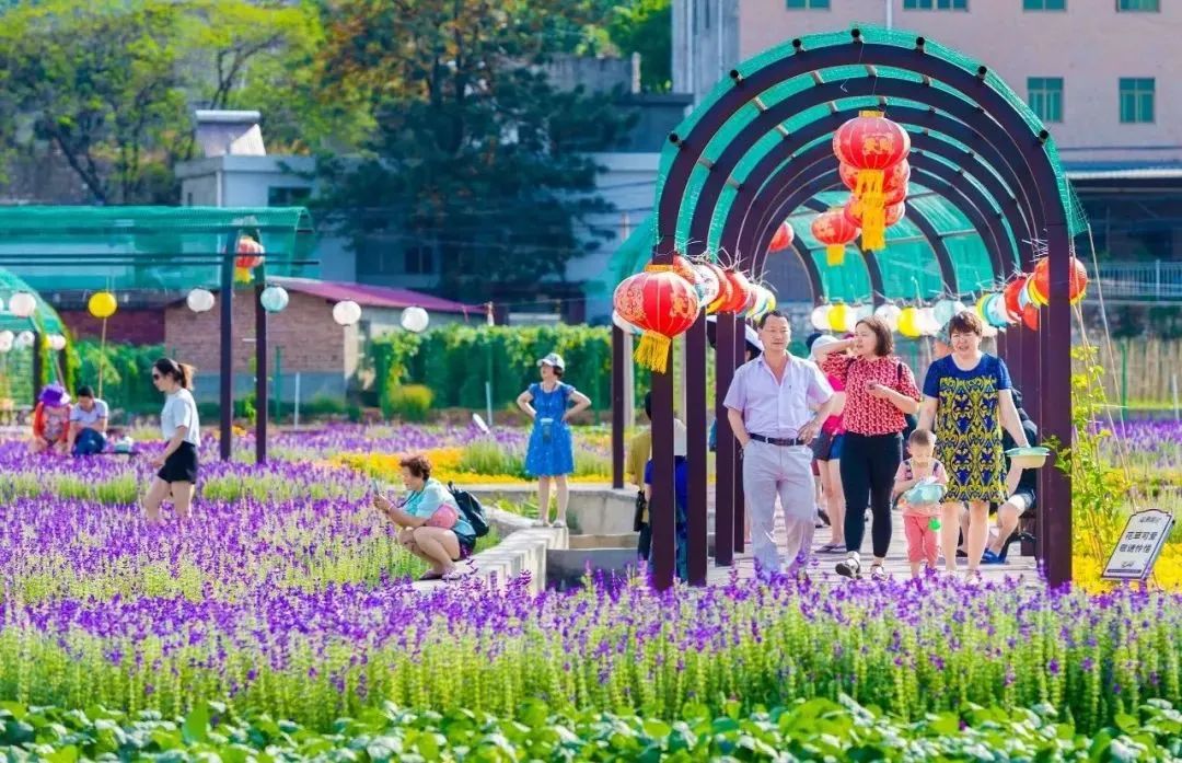 1665393644294954iFKa.jpg 02.jpg