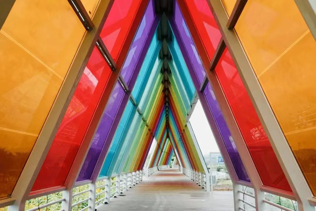 1665393765281336izxi.jpg 08.jpg