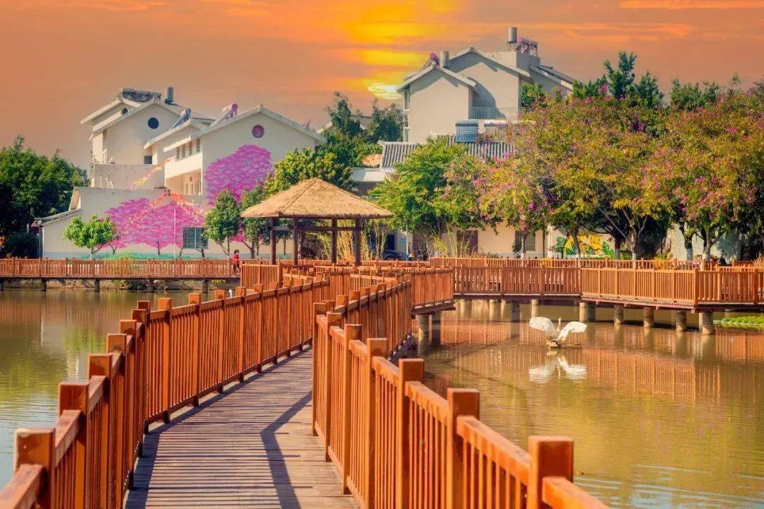 1665393780474116rul1.jpg 09.jpg