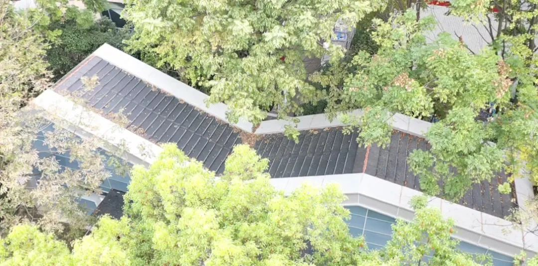 1667378248529040E11T.png 03.png