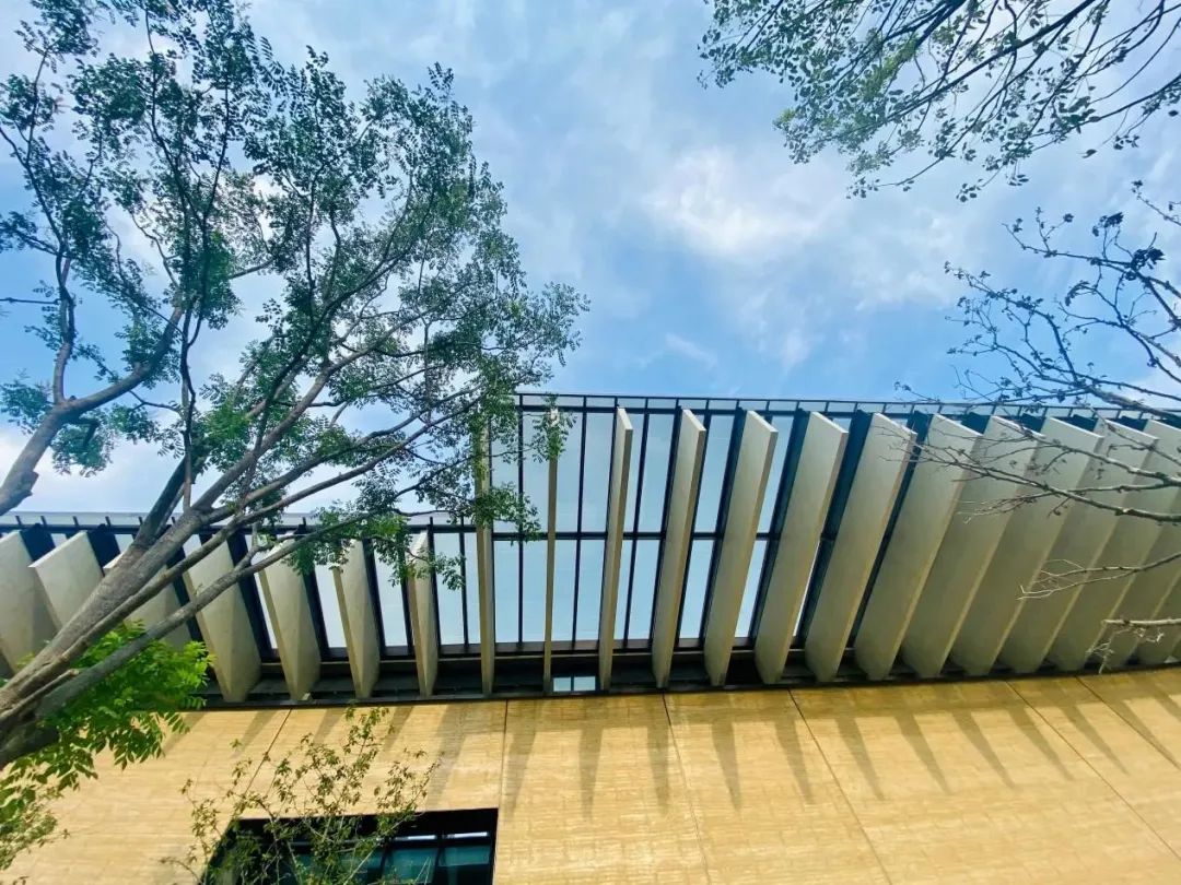 16709853756202155EVE.jpg 3.jpg