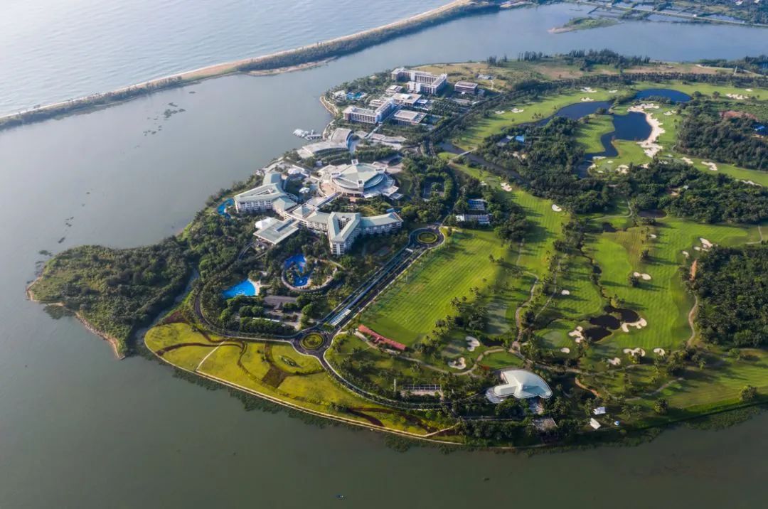 16781702891568227Oo4.jpg 1.jpg