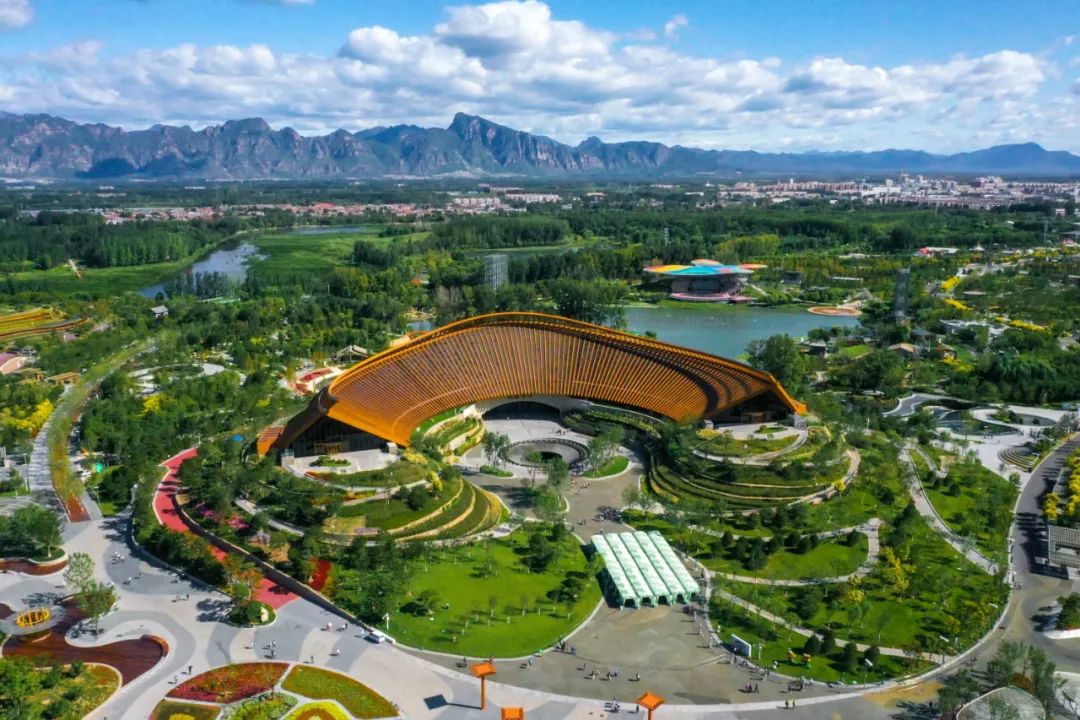 1683872896663775stNI.jpg 1.jpg