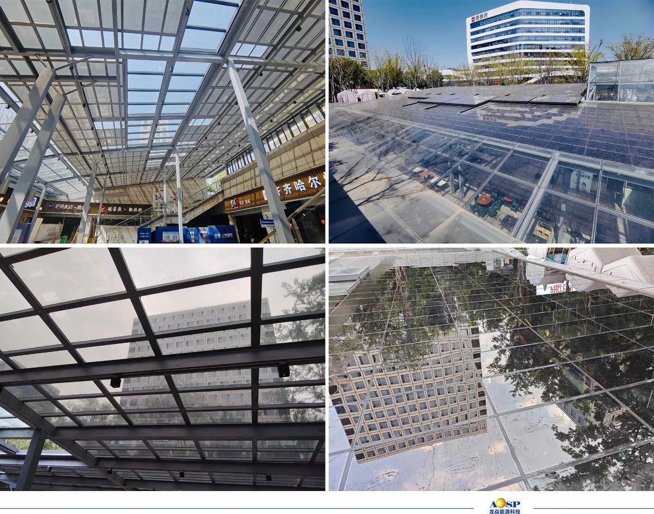 1707017141382446o9eK.jpg 8.jpg