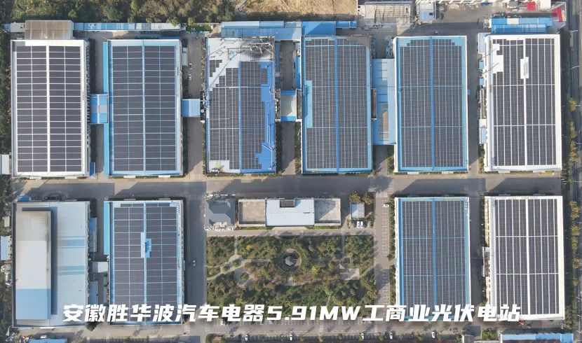 17070264778590885YP4.jpg D2.jpg