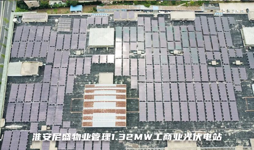 1707026485162344uKOZ.jpg D3.jpg