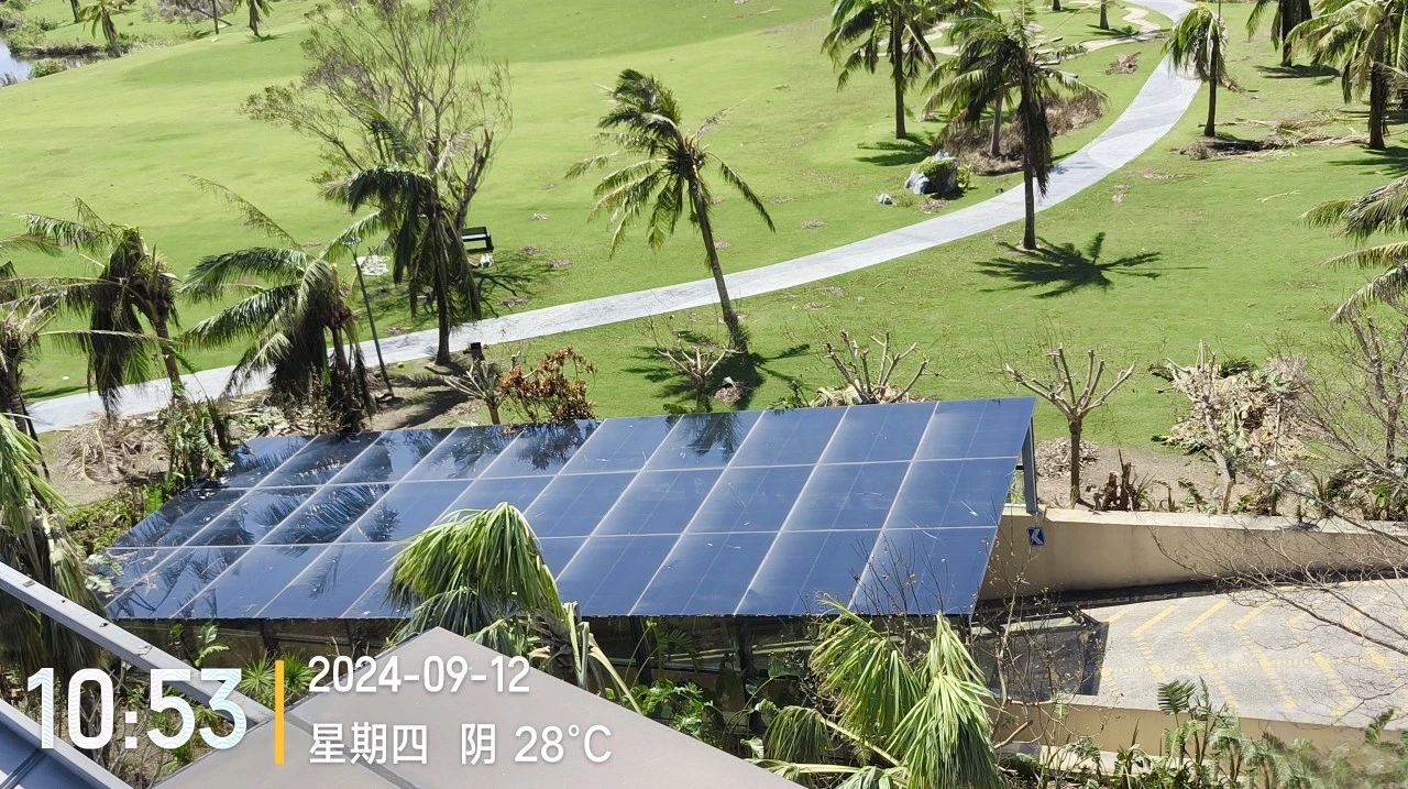 1726712648659357wJxm.jpg 5.jpg