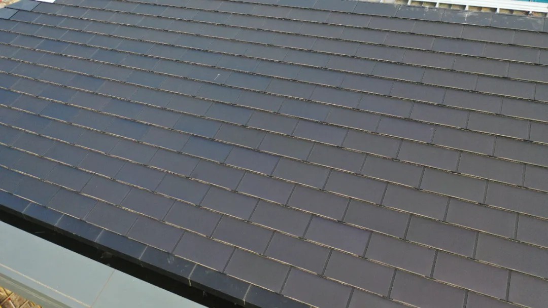 1733473360651568zWY2.jpg 2.jpg