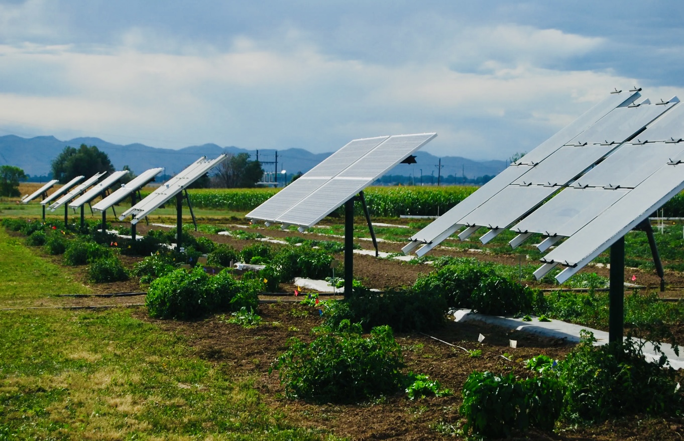 1735288181654635VeNZ.jpg 3.jpg