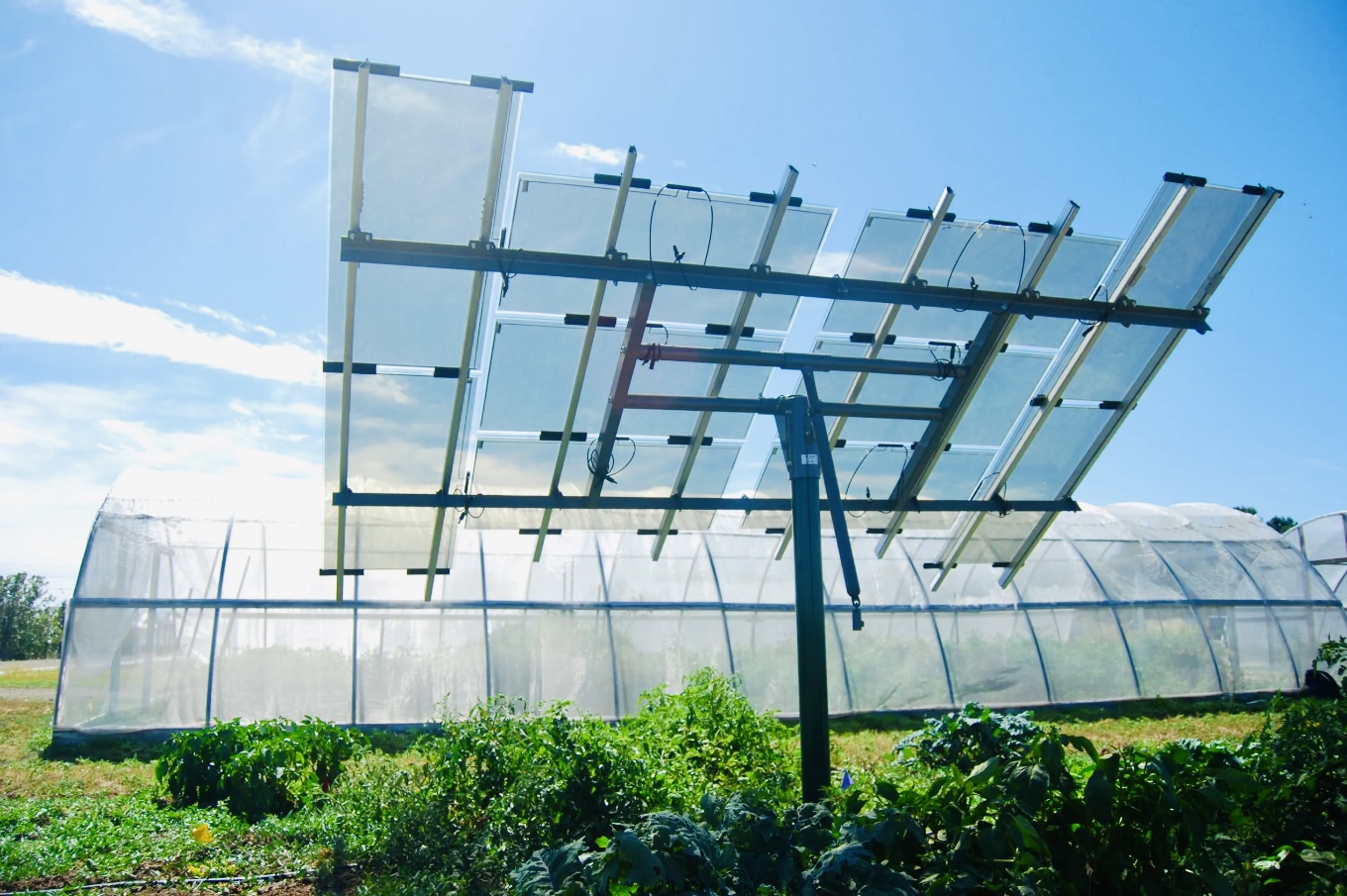 1735288186217122myHK.jpg 4.jpg