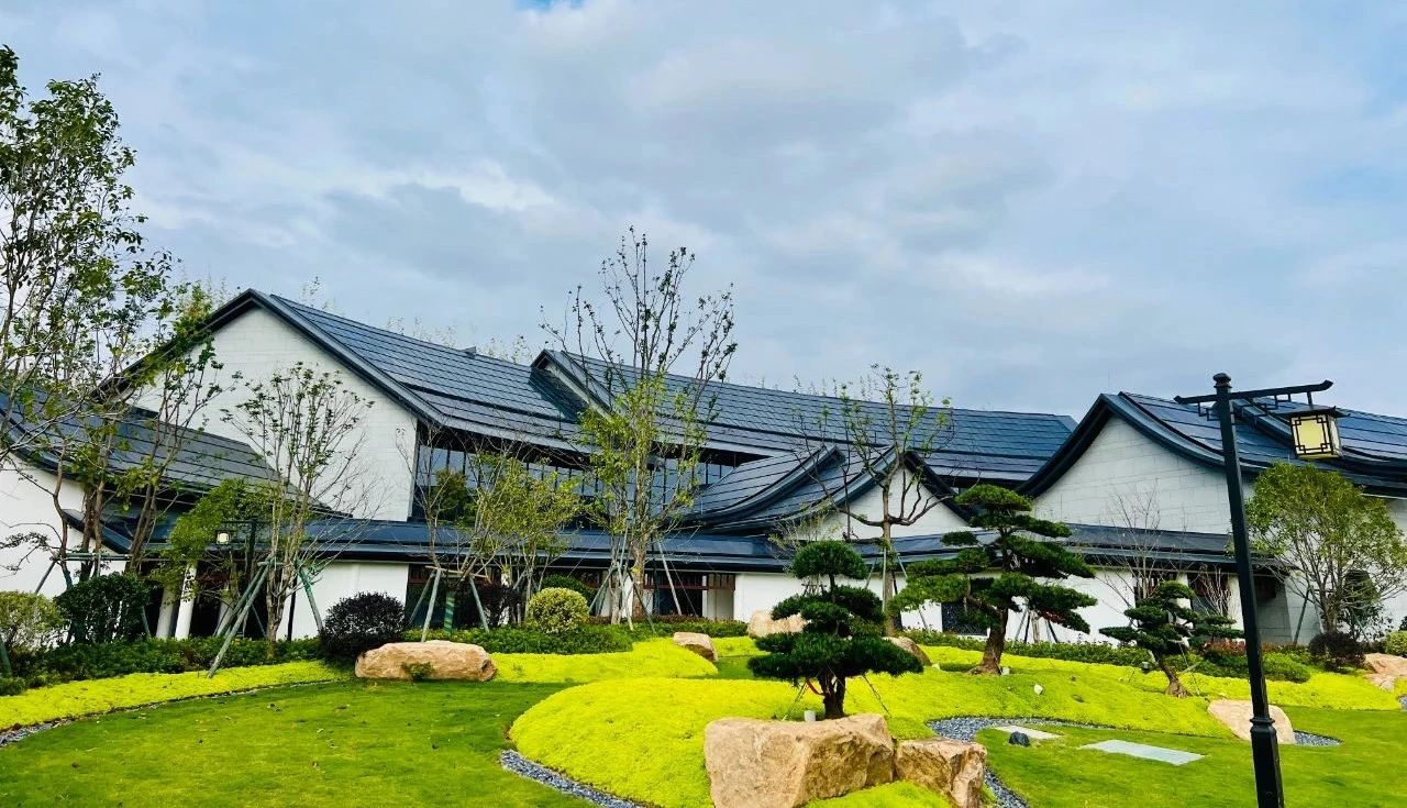 17355474329460270uTc.jpg 微信圖片_20241230162141.jpg