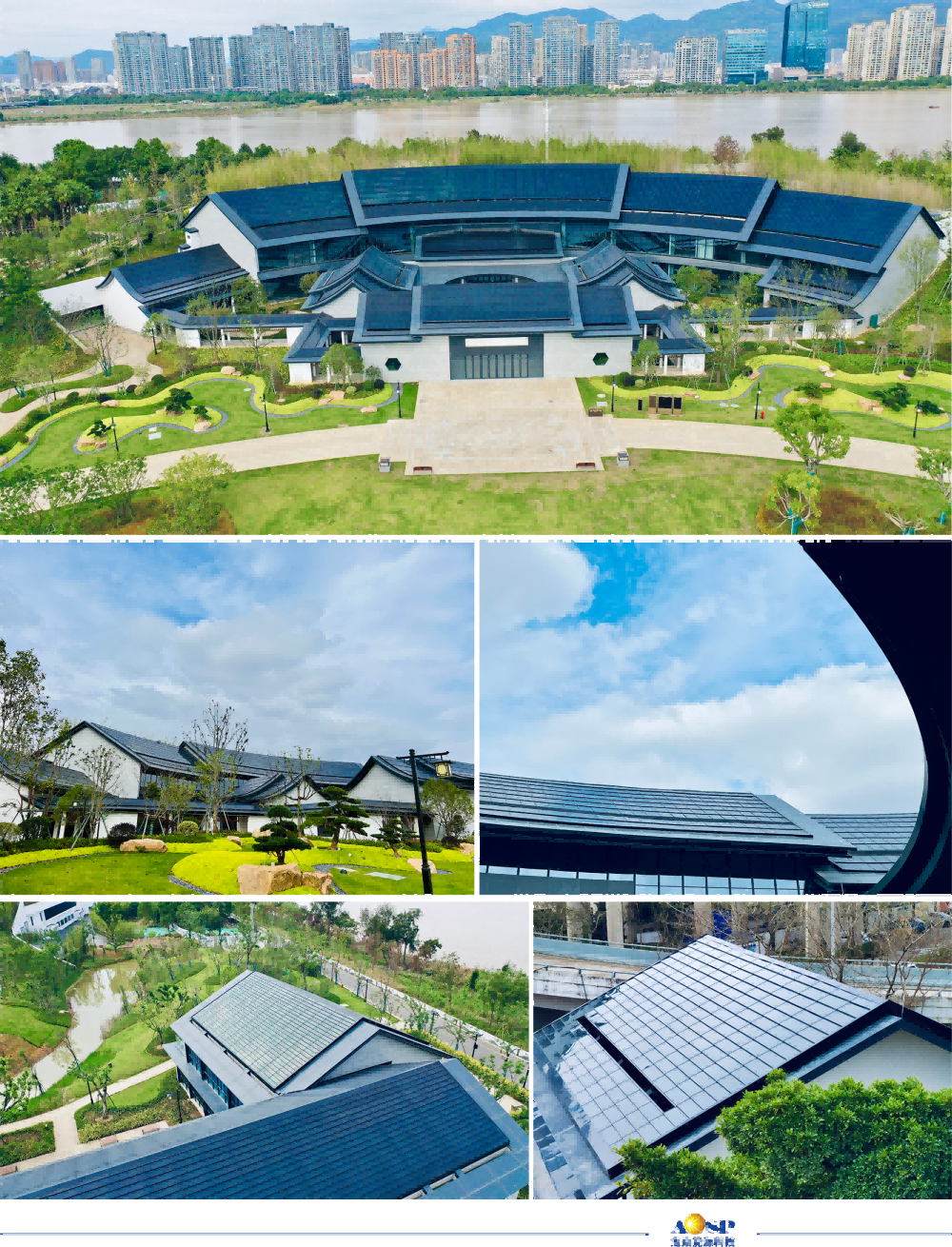 17367517421702541guy.png 13(1).png