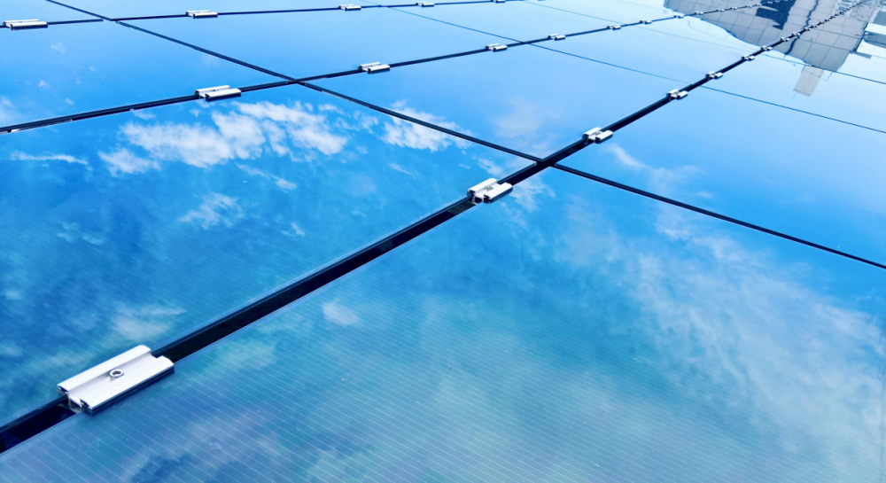 1736752848316543GpQ7.png 32.png