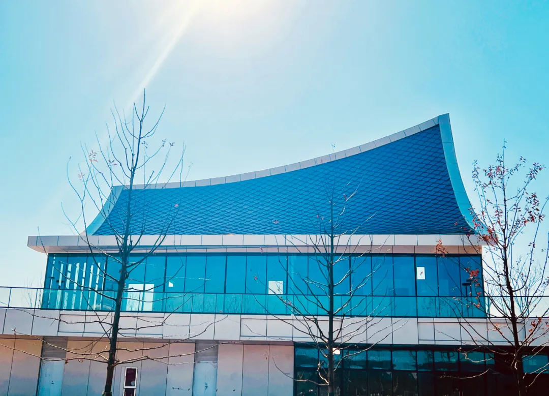 1738817327681086Wr4x.png 003.png